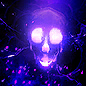 Dark Pact