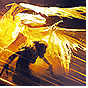 Wing Blast