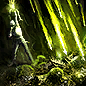 Toxic Growth