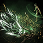 Unearth