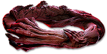 Sinew Belt