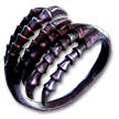 Evergrasping Ring