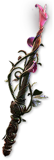 Lifesprig